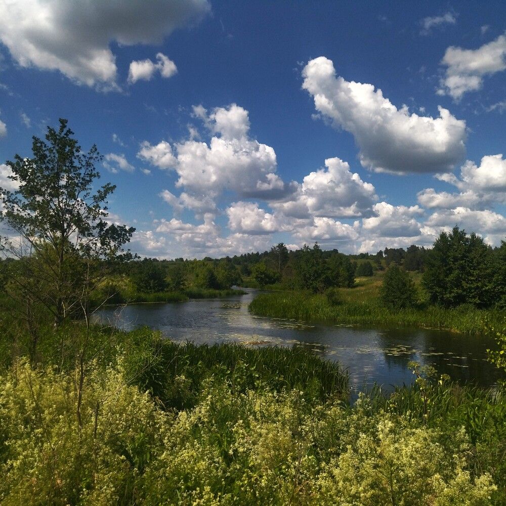 Photograph by Лариса Басова