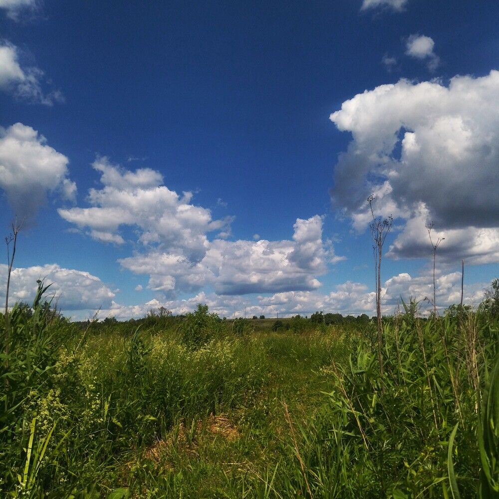 Photograph by Лариса Басова