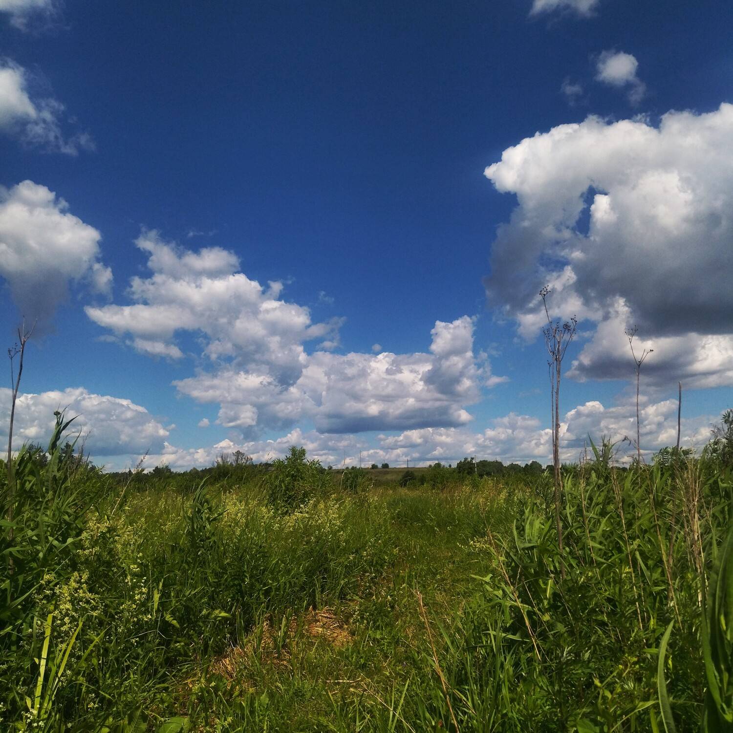 Photo #13738029