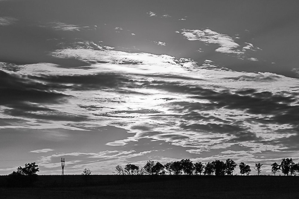 Photograph by Larysa Pinner