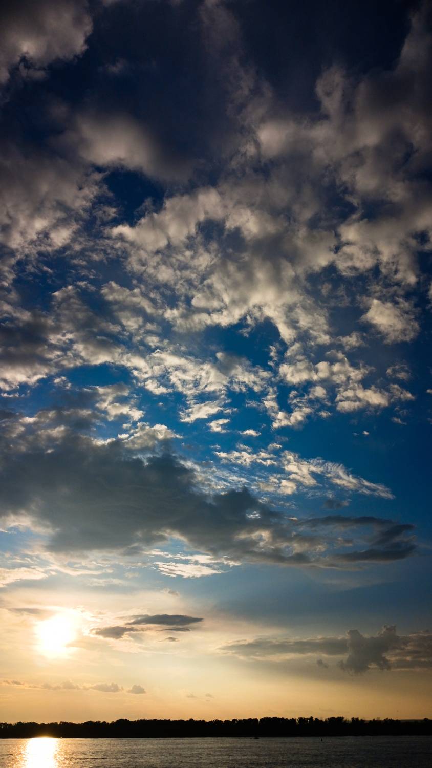 Photo #13738053