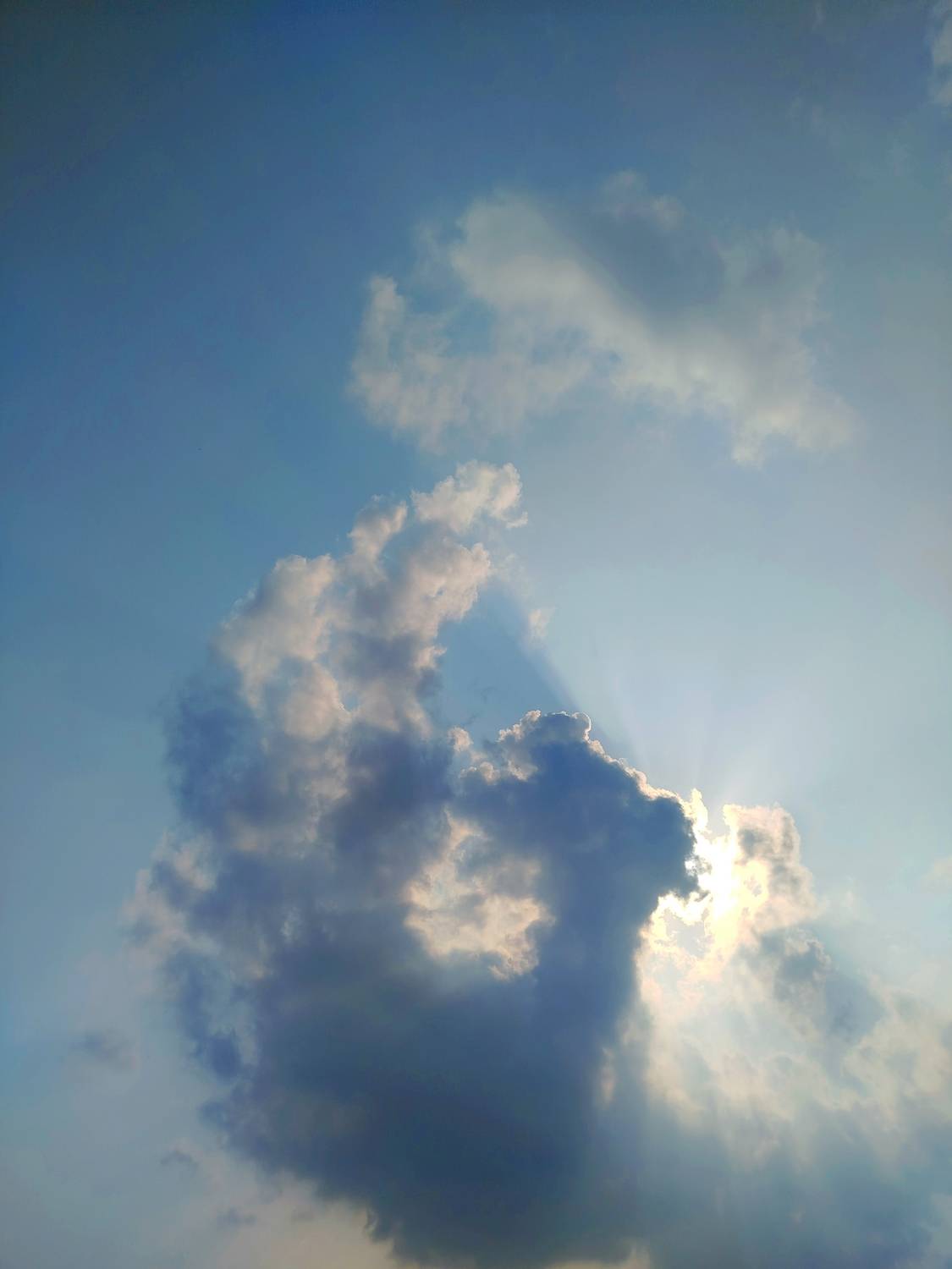 Photo #13738056