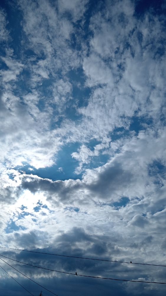 Photo #13738109
