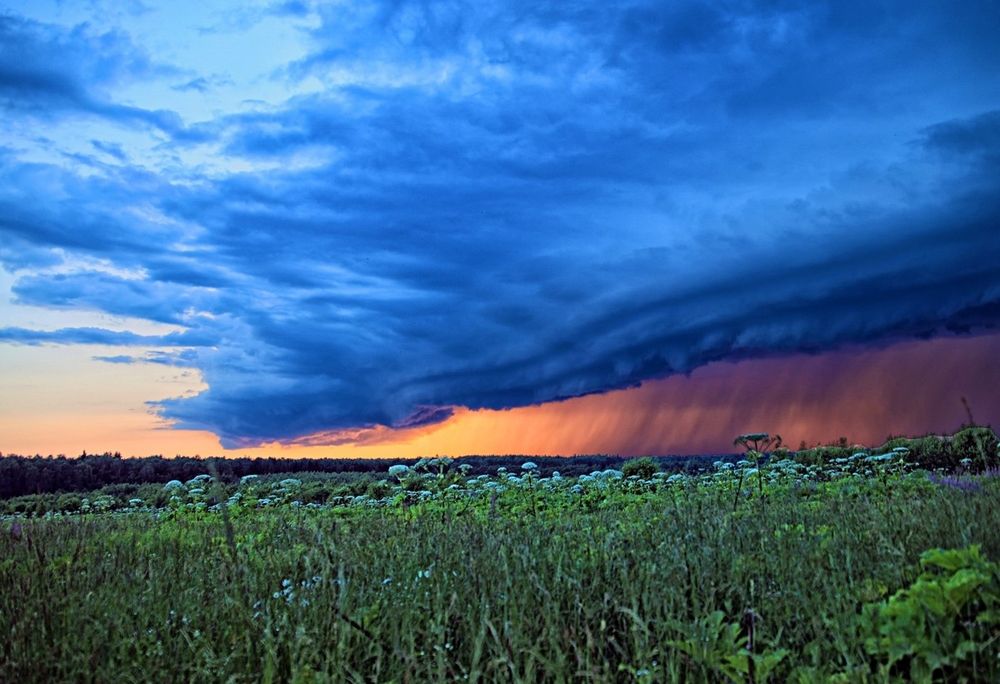 Photograph by Сергей Ключарёв