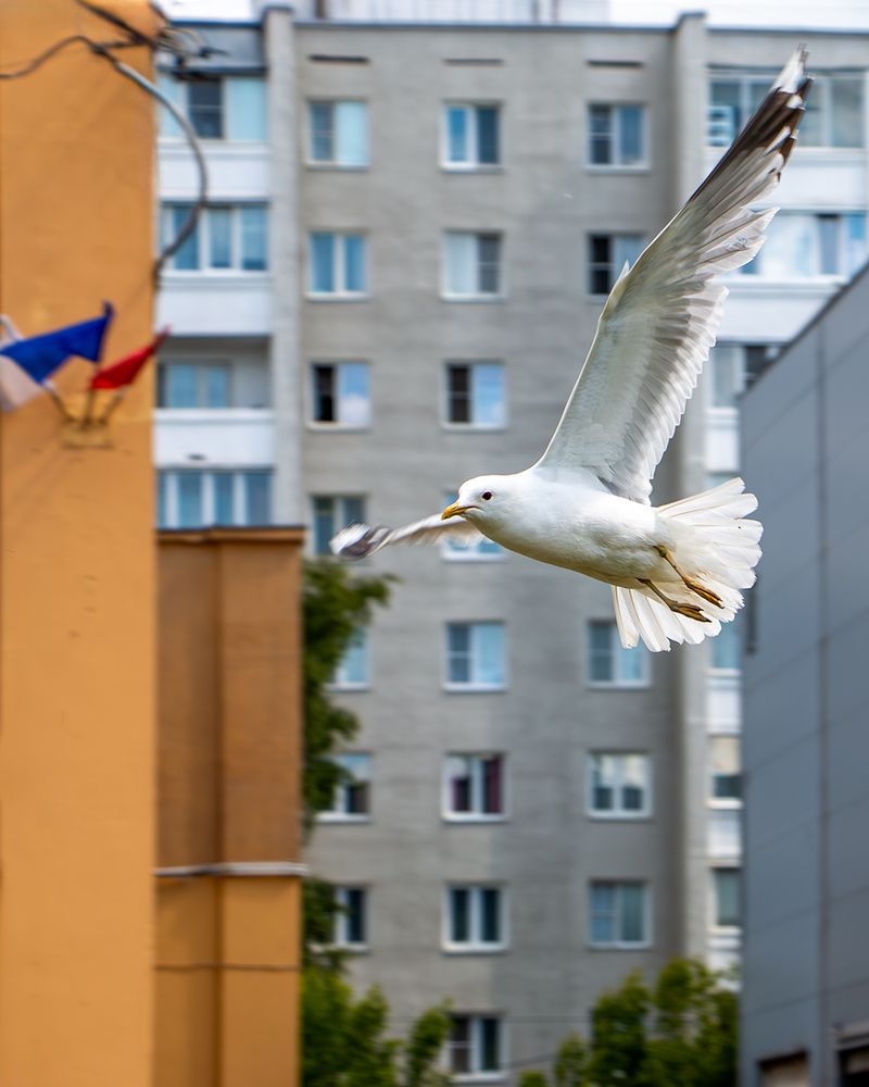 Фотография автора Надежда Хрусталёва