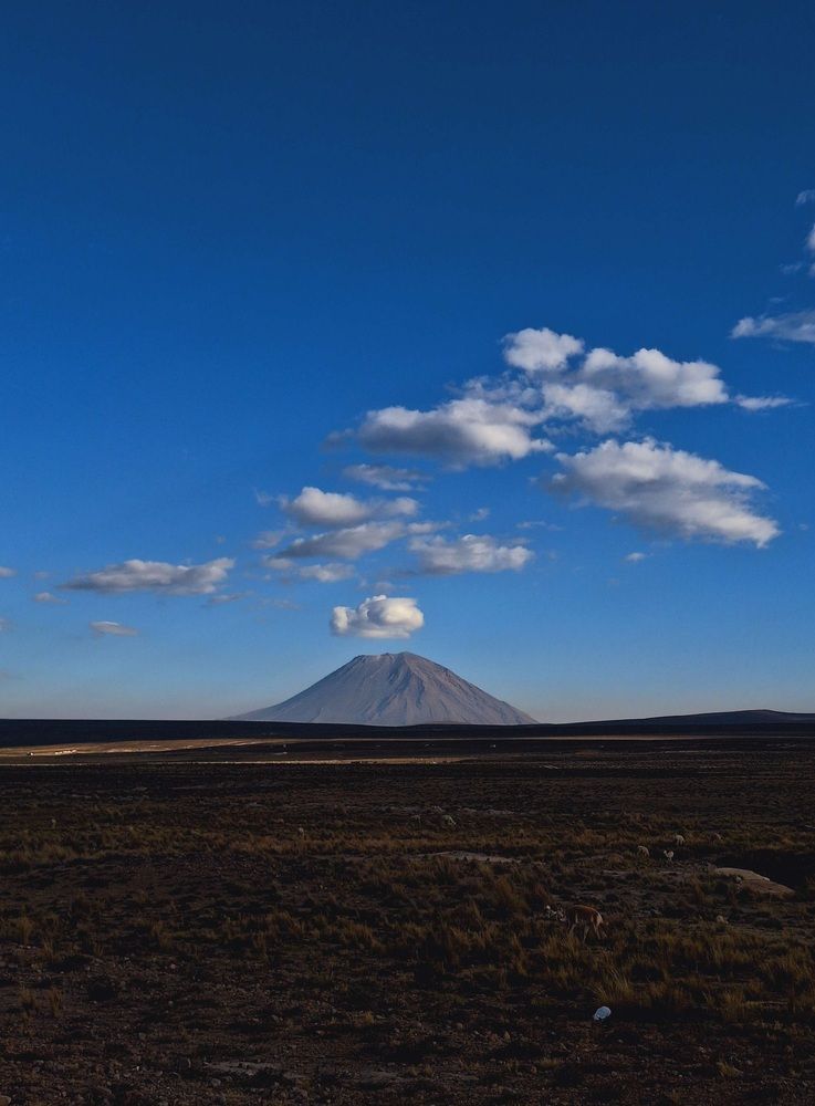 Photograph by Diego Cesar Monroy Chaparro