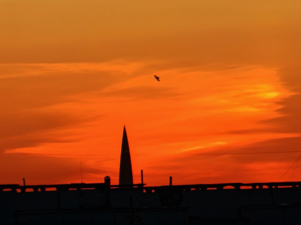 Photograph by Андрей