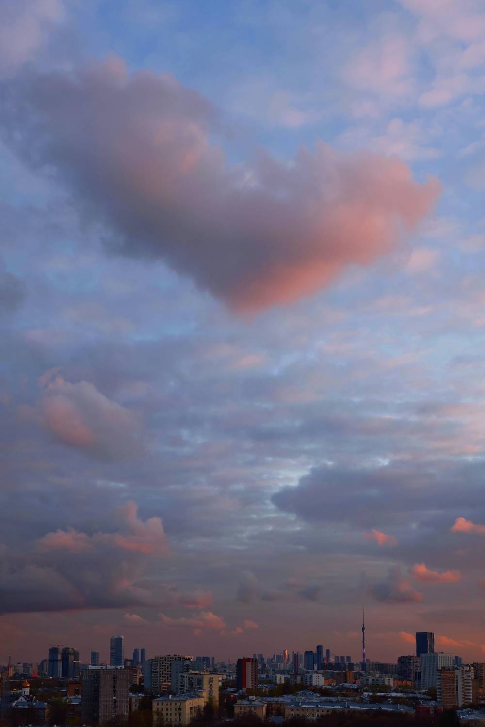 Photo #13738294