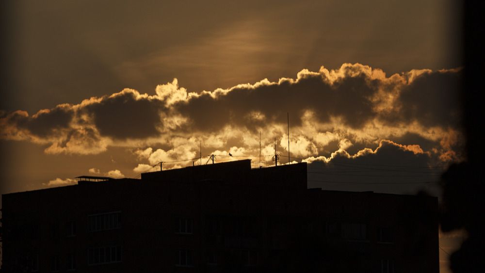 Photograph by Александр Оводов