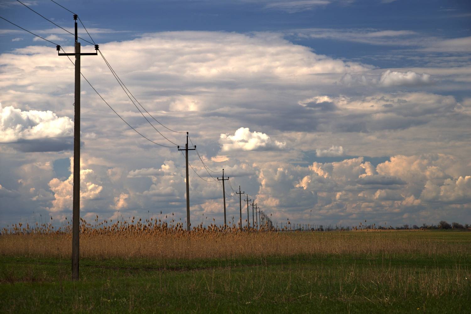 Photo #13738324