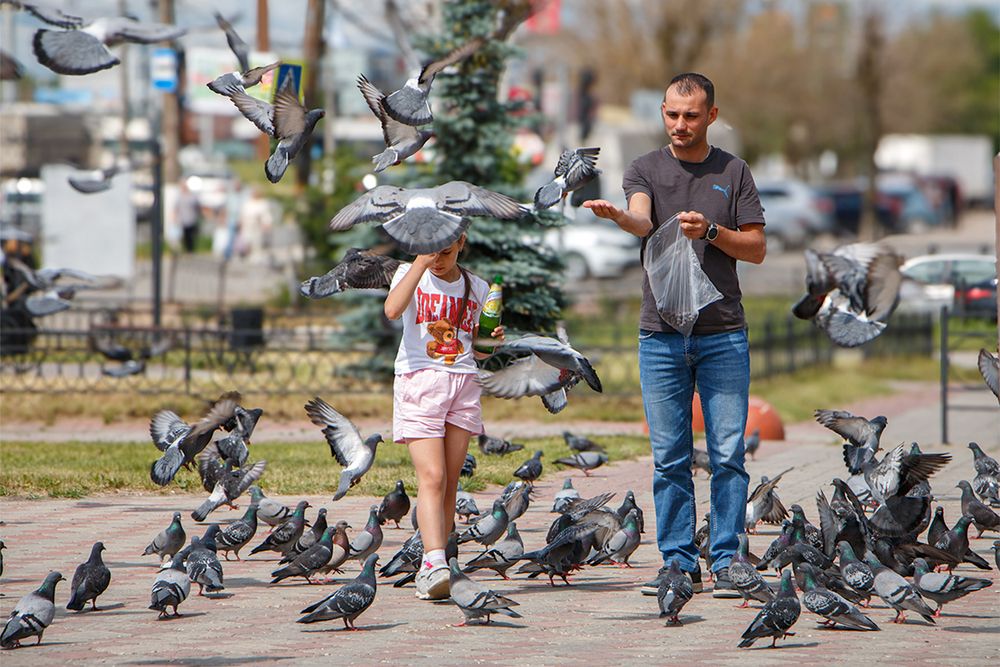 Photograph by Игорь Хрусталёв