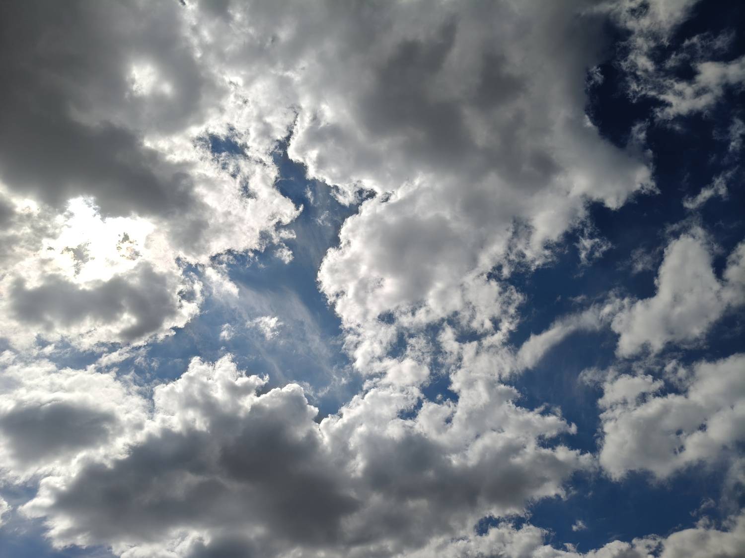 Photo #13738433
