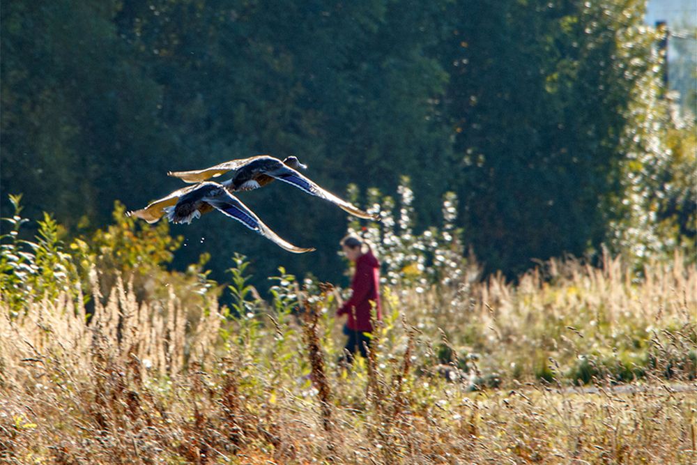 Photograph by Nadezhda Khrustaleva
