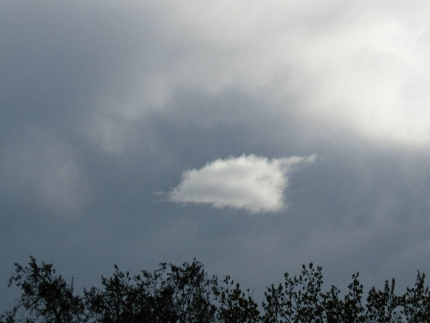 Photo #13738466
