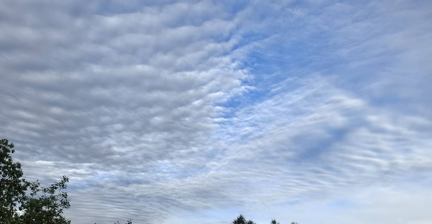 Photo #13738494