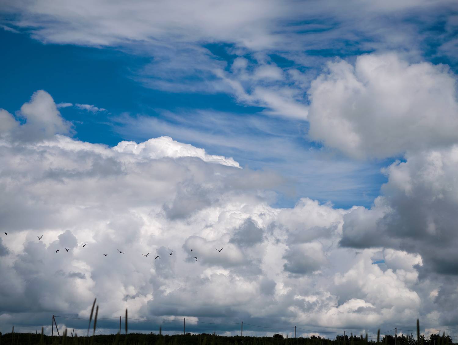 Photo #13738518