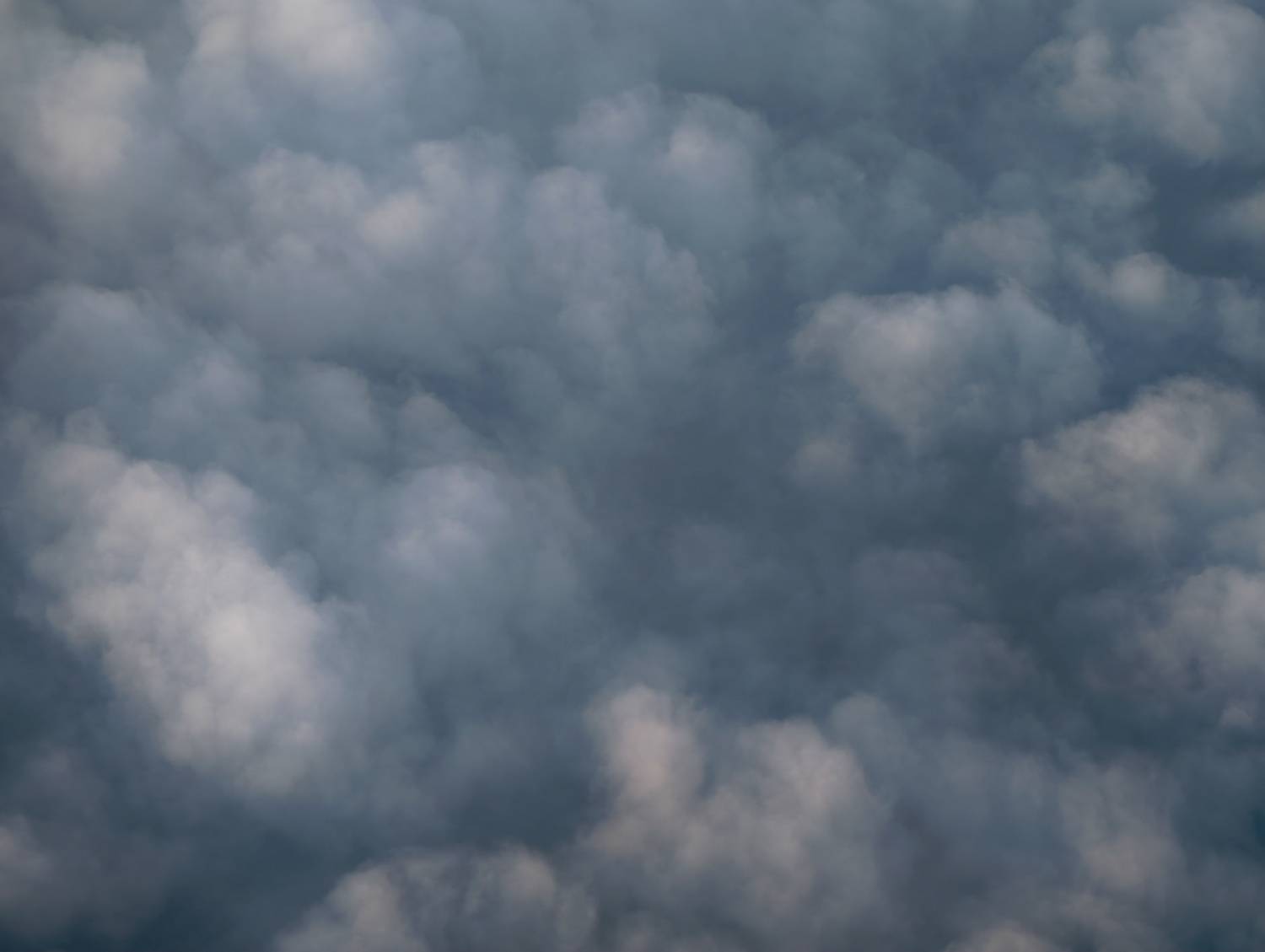 Photo #13738530