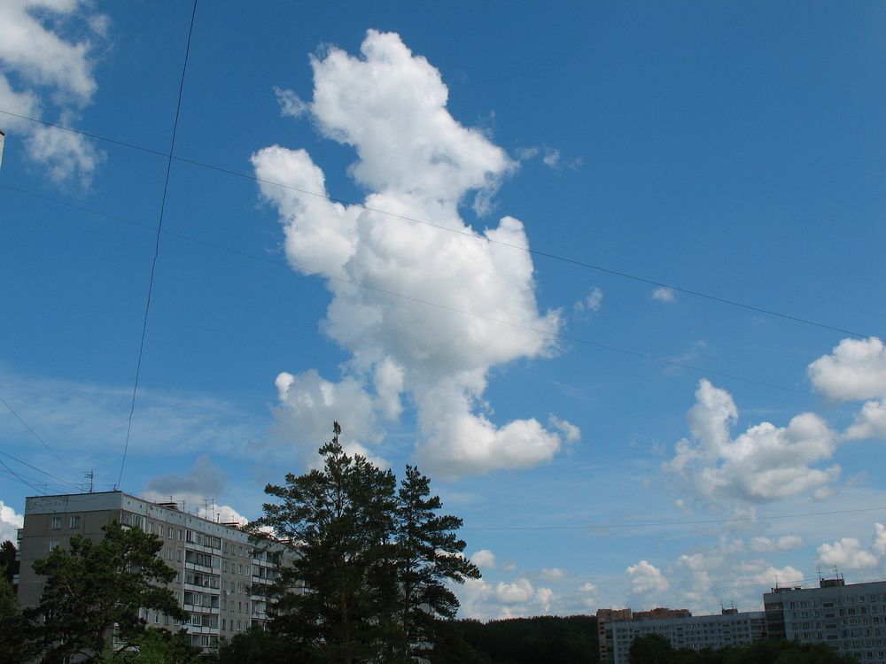 Photograph by Владимир