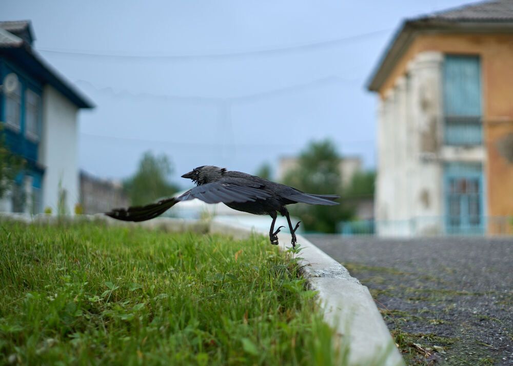 Photograph by Максим Карпович
