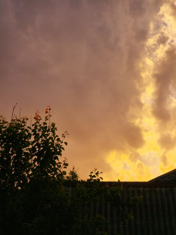 Photo #13738581