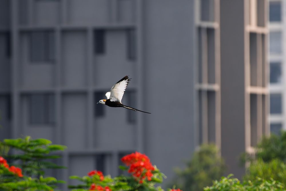 Photograph by Prabhat Ghosh