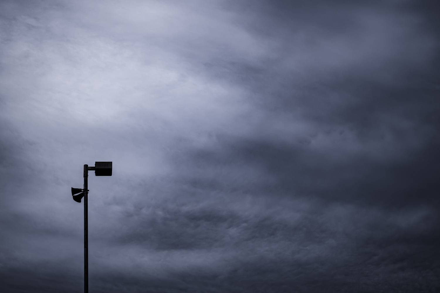 Photo #13738615