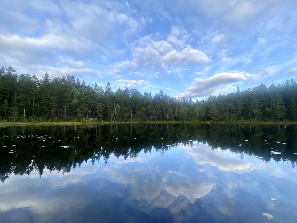Photograph by Мария Якубовская