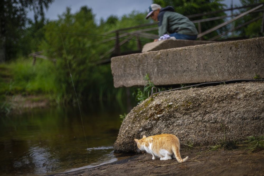Photograph by Хабаров Сергей