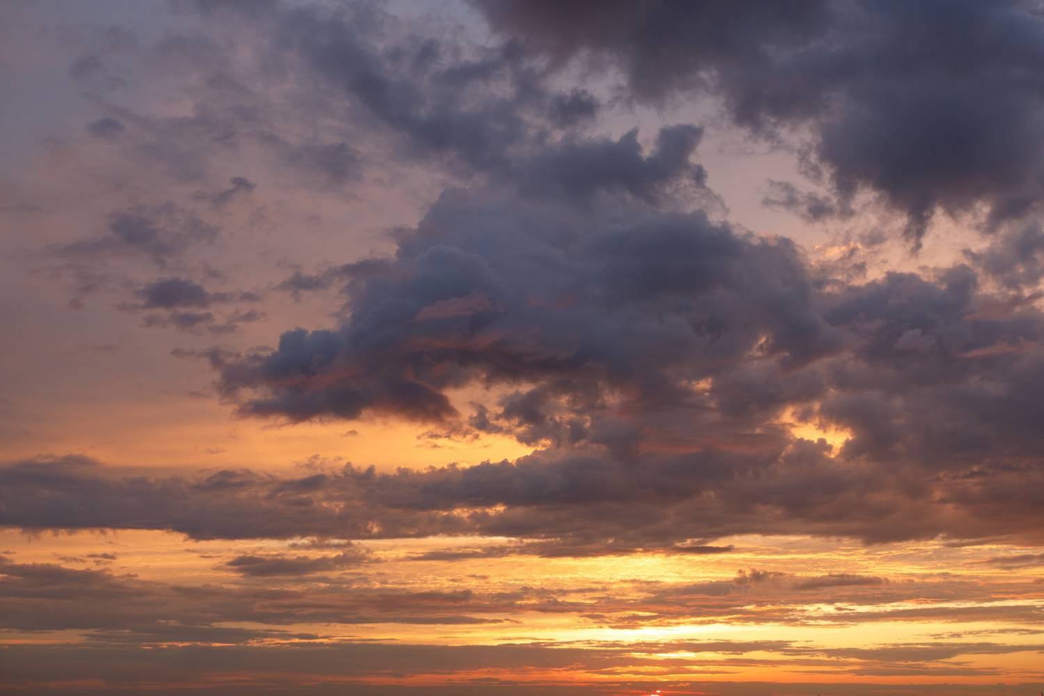 Photo #13738679
