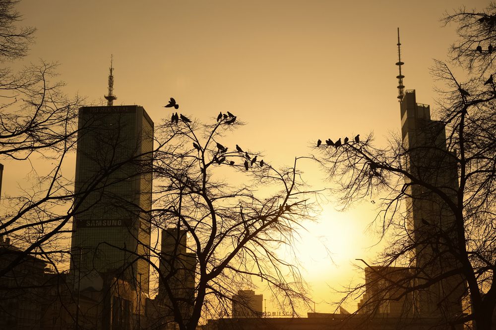 Photograph by LIUDMILA BABROUSKAYA