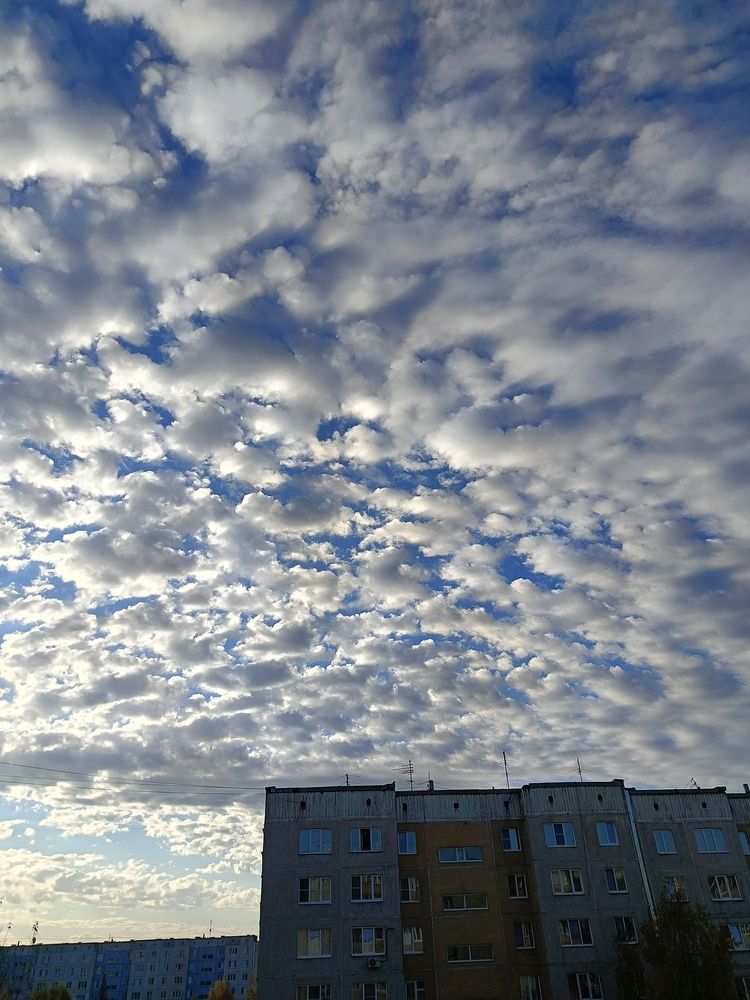 Photograph by Воронова Светлана