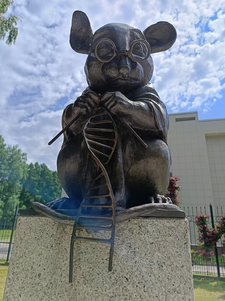 Photograph by Воронова Светлана