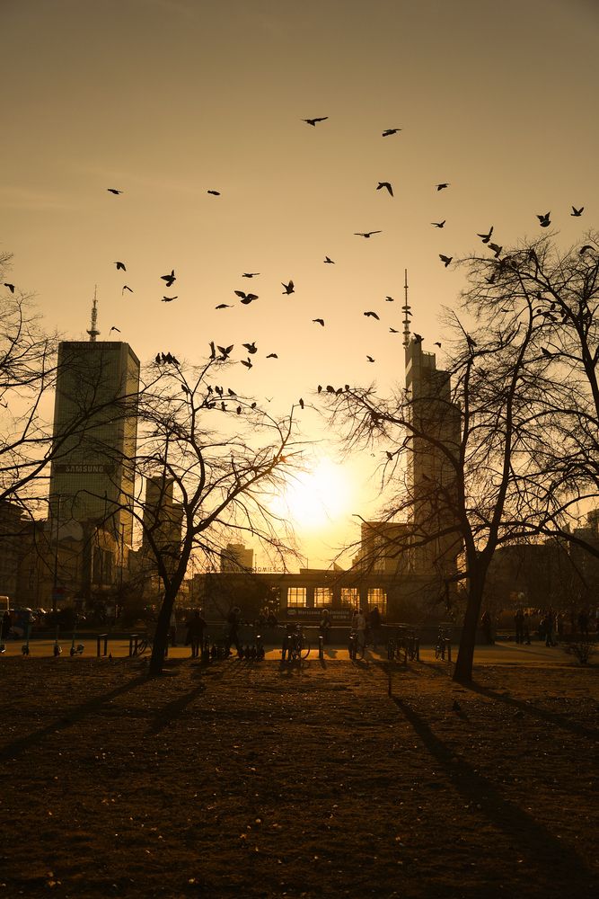 Photograph by LIUDMILA BABROUSKAYA