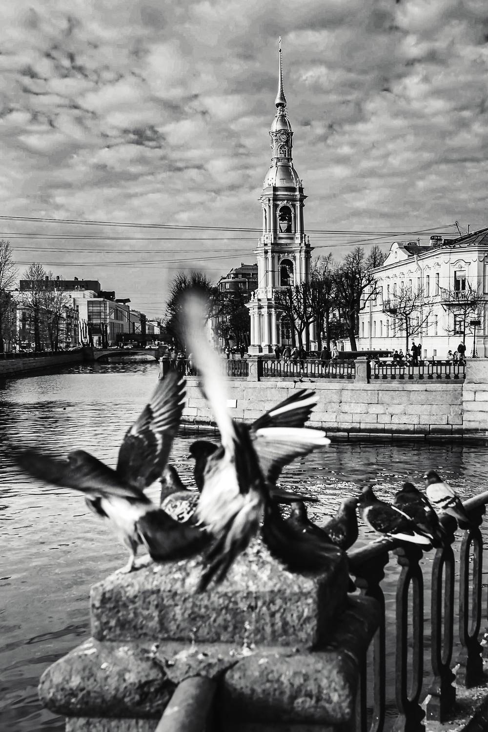 Photo #13738759