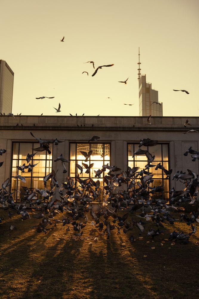 Photograph by LIUDMILA BABROUSKAYA