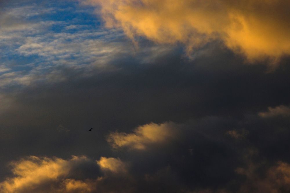 Photograph by Татьяна Сергиенко