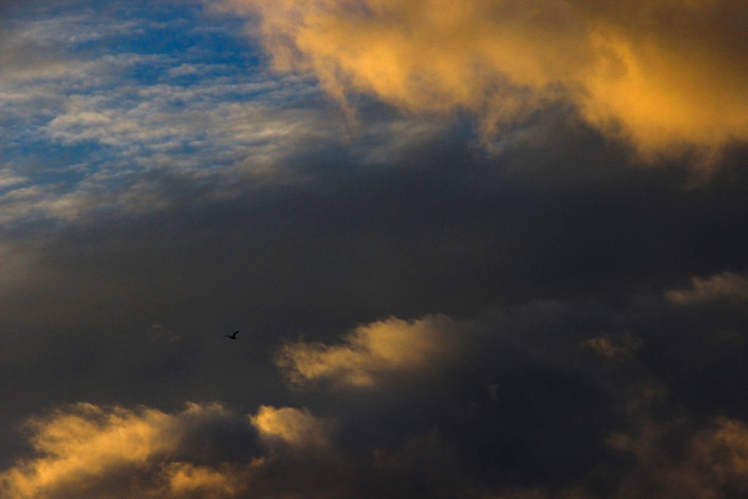 Photo #13738781