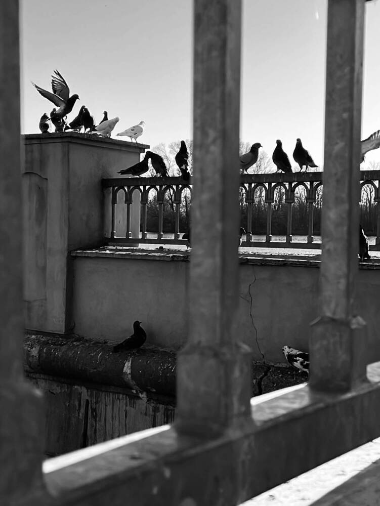 Photograph by Ирина Сафонова