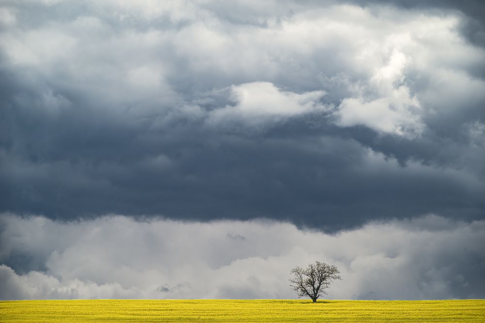 Storm and yellow
