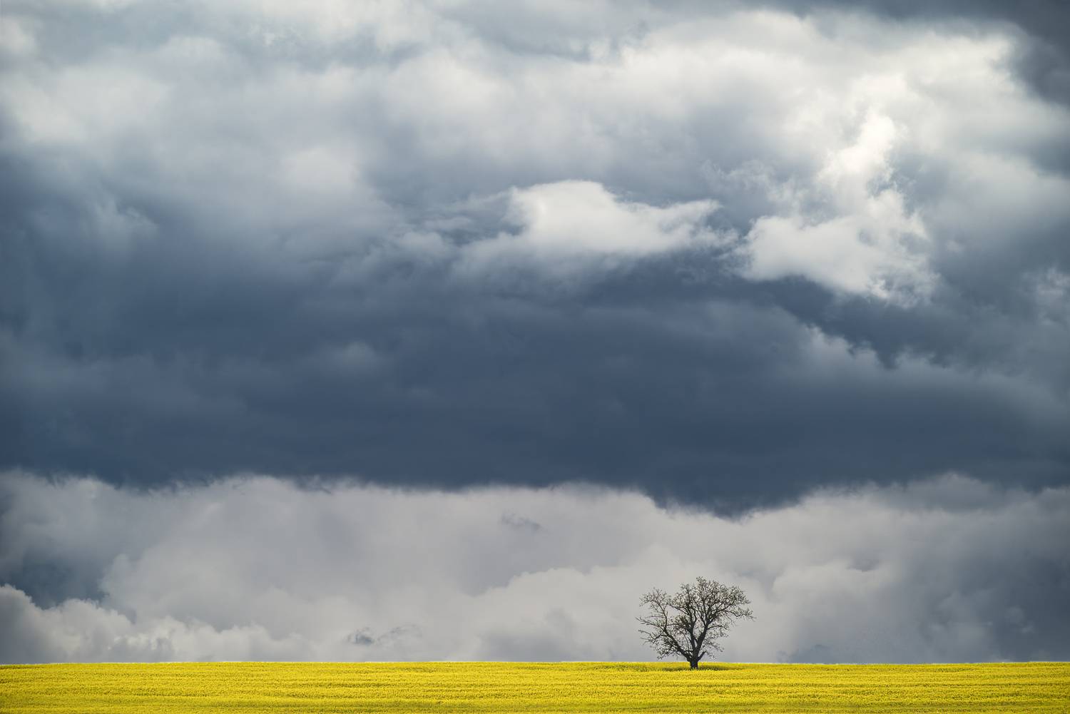 Storm and yellow