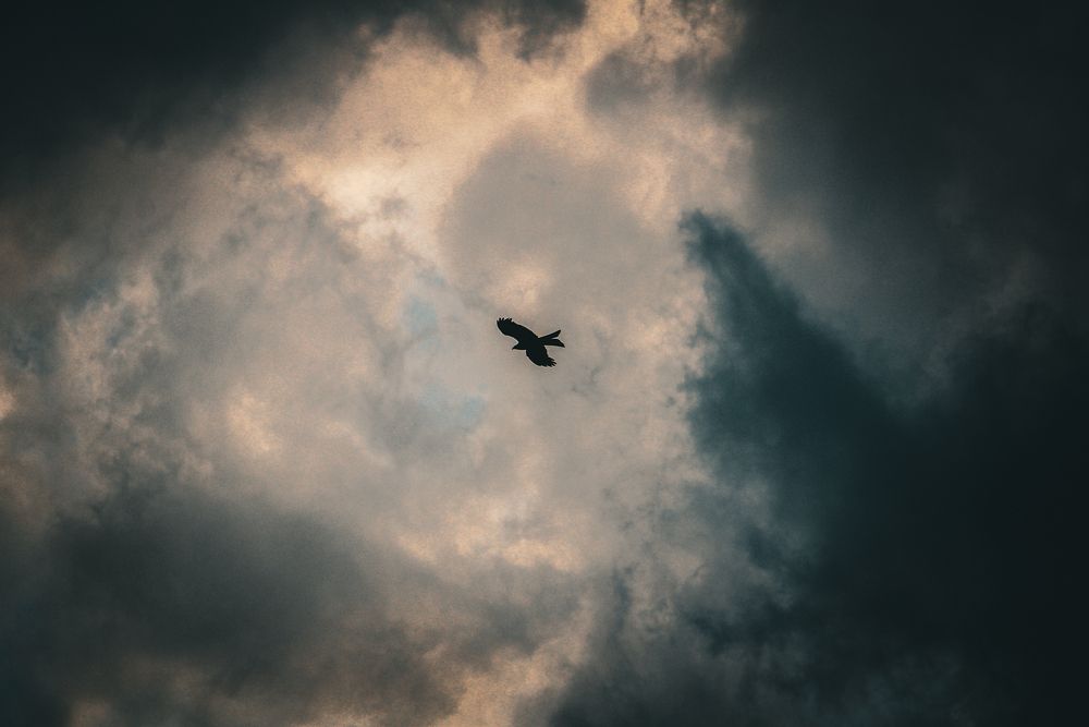 Photograph by Subhajit Datta