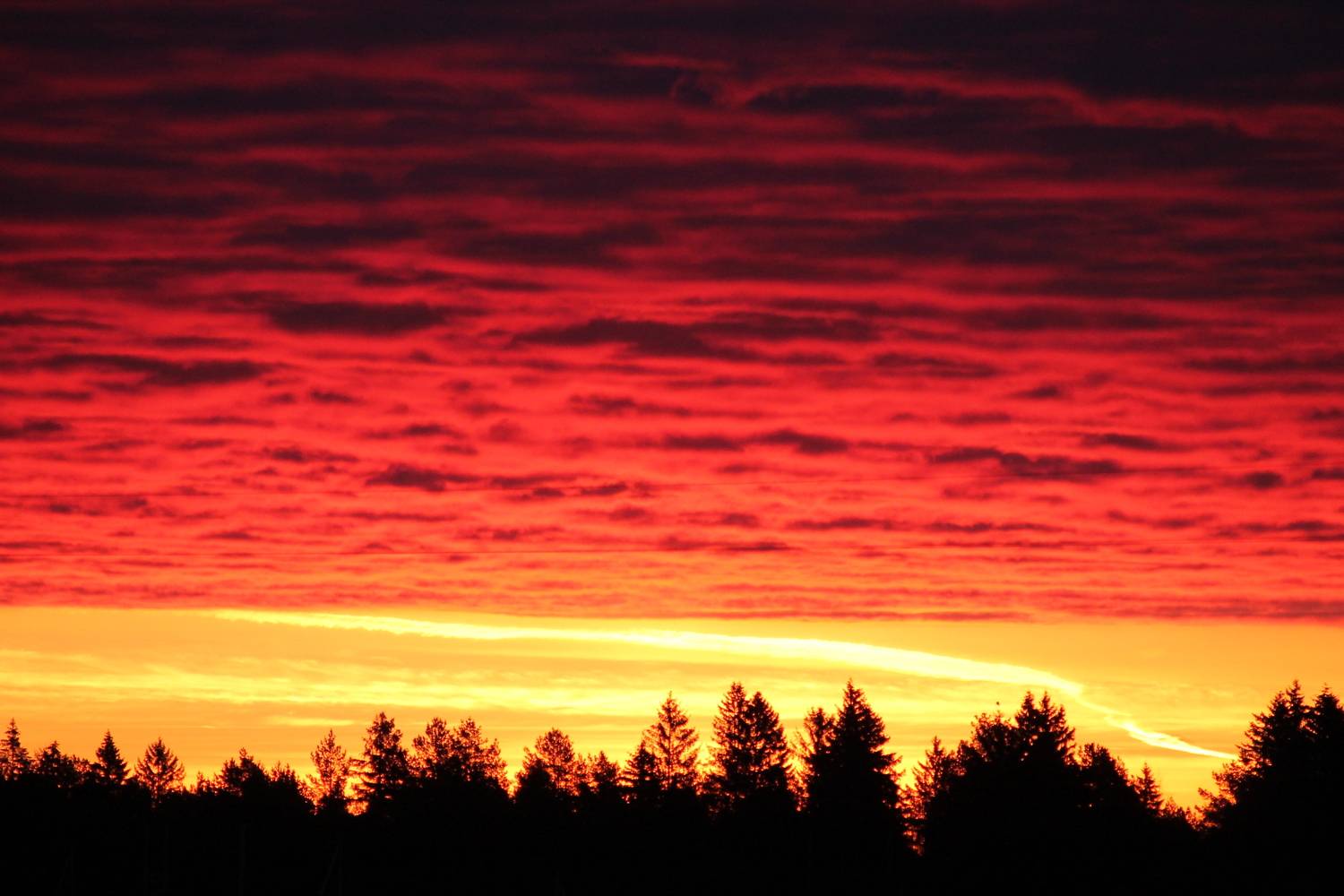 Photo #13738892