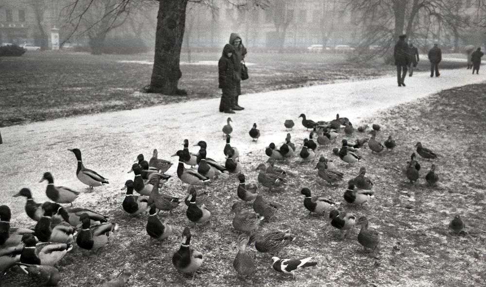 Photograph by Cергей Абакумов