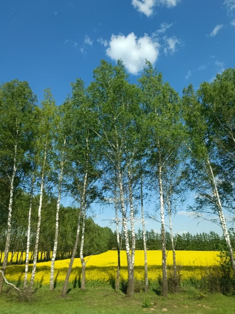 Photograph by Елена Пархоменко