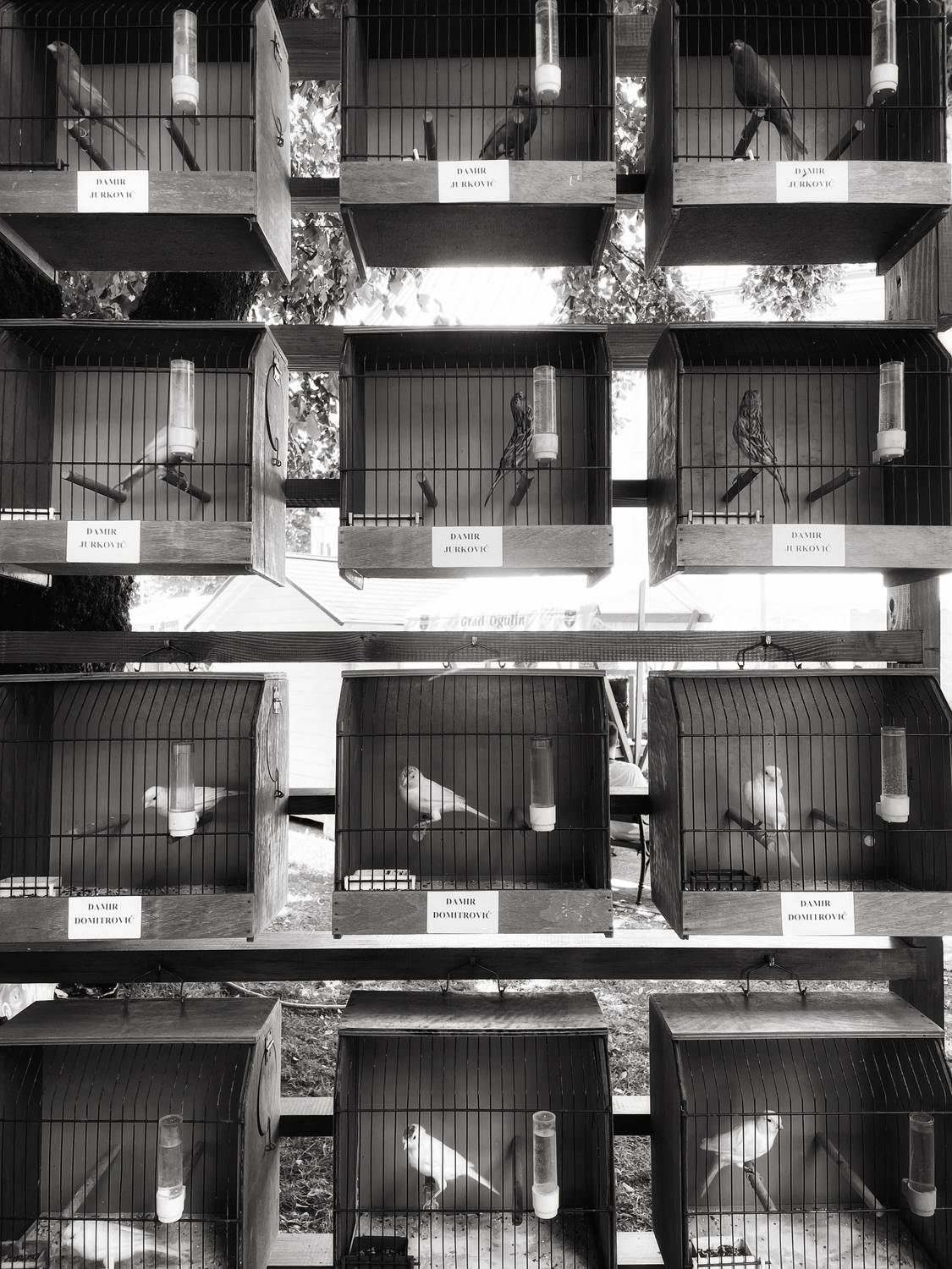 Photo #13738916