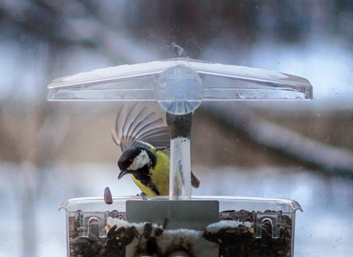 Photo #13739116