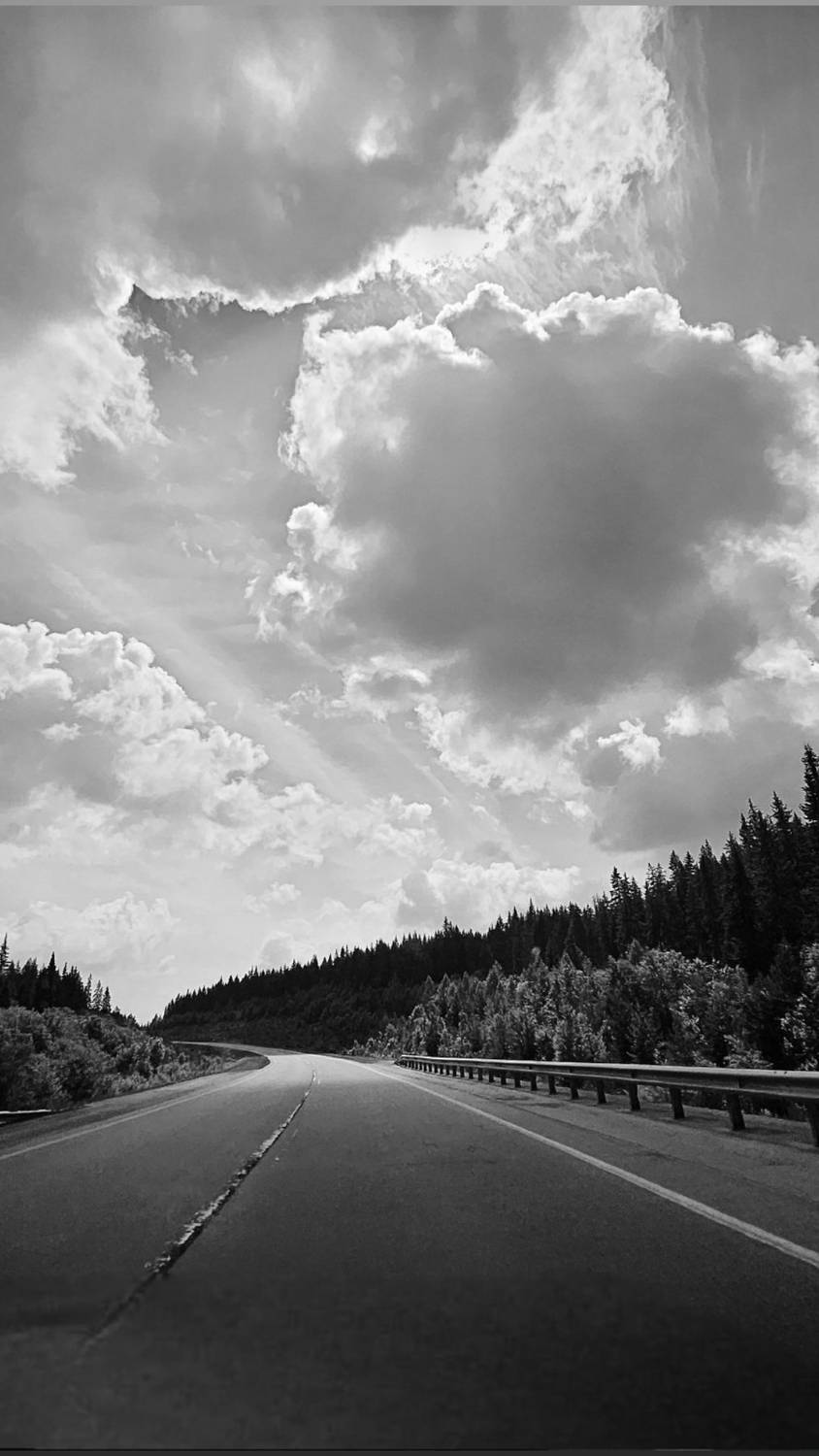 Photo #13739126