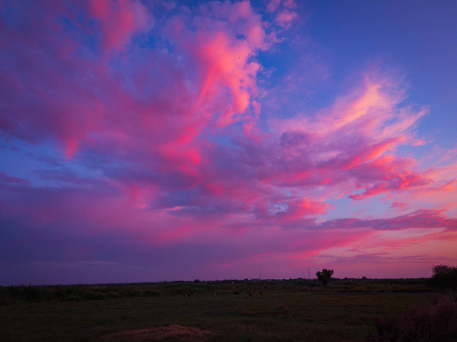Photo #13739134