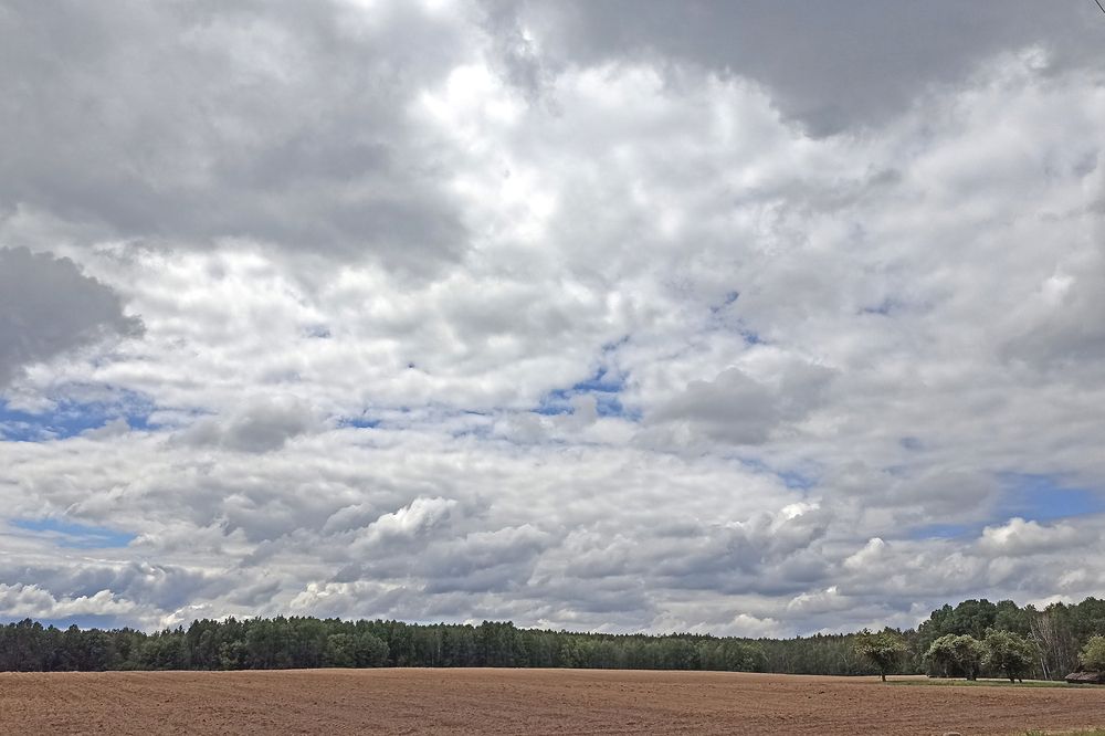 Фотография автора Николай Семенец