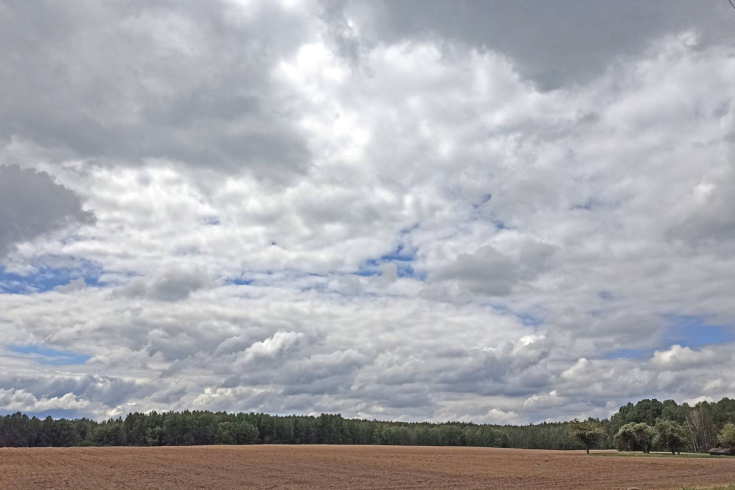 Photo #13739137